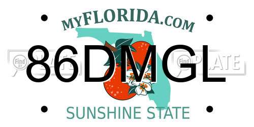 86DMGL Florida License Plate