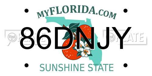 86DNJY Florida License Plate