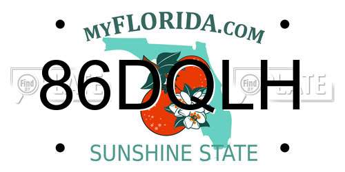 86DQLH Florida License Plate