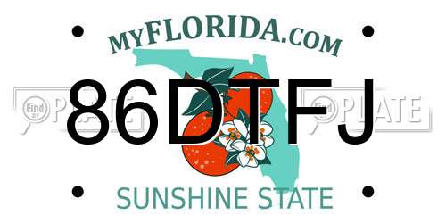 86DTFJ Florida License Plate