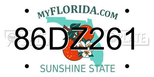86DZ261 Florida License Plate
