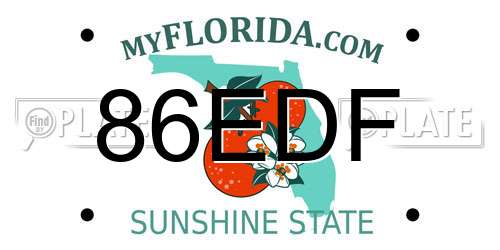 86EDF Florida License Plate