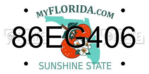 86EG406 Florida License Plate