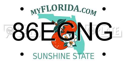 86EGNG Florida License Plate