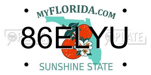 86ELYU Florida License Plate