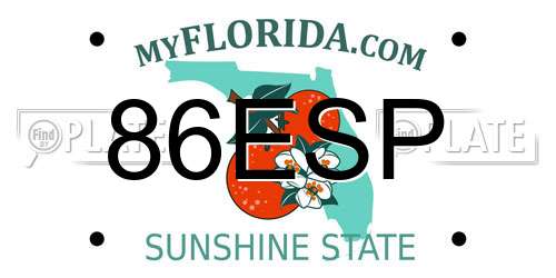86ESP Florida License Plate