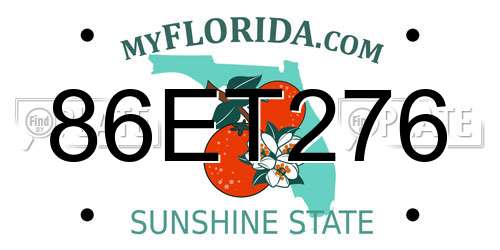 86ET276 Florida License Plate