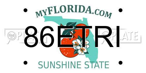 86ETRI Florida License Plate