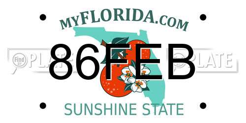 86FEB Florida License Plate