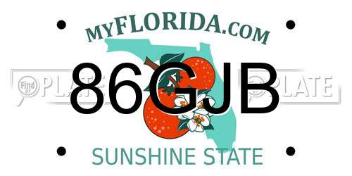 86GJB Florida License Plate