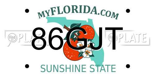 86GJT Florida License Plate
