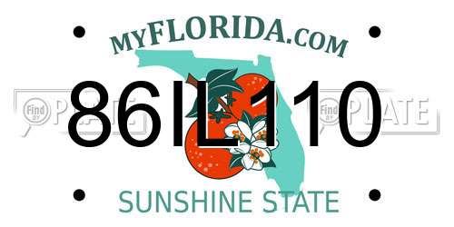 86IL110 Florida License Plate