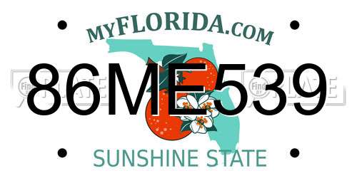 86ME539 Florida License Plate