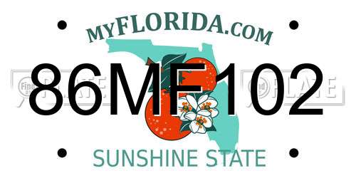 86MF102 Florida License Plate
