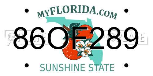 86OF289 Florida License Plate