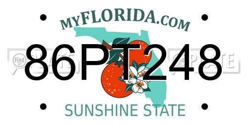 86PT248 Florida License Plate