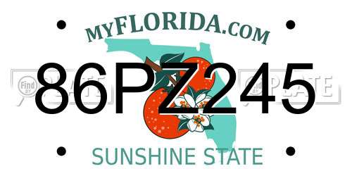 86PZ245 Florida License Plate