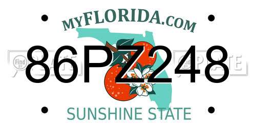 86PZ248 Florida License Plate