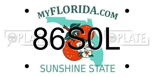 86S0L Florida License Plate
