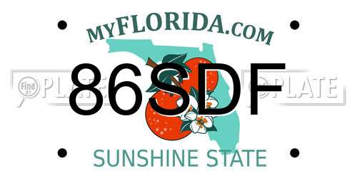 86SDF Florida License Plate