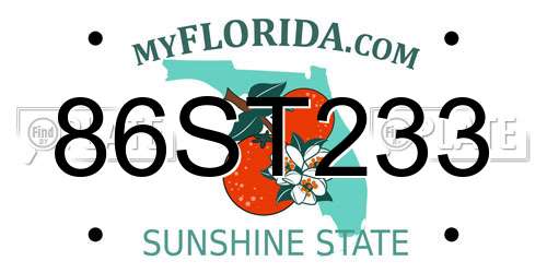 86ST233 Florida License Plate