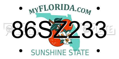 86SZ233 Florida License Plate