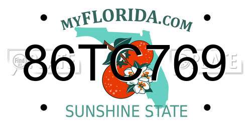 86TC769 Florida License Plate