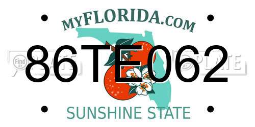 86TE062 Florida License Plate