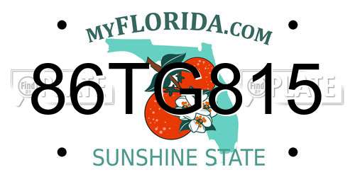 86TG815 Florida License Plate