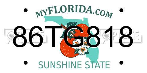 86TG818 Florida License Plate