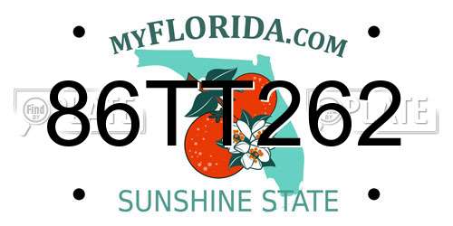 86TT262 Florida License Plate