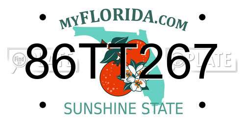 86TT267 Florida License Plate