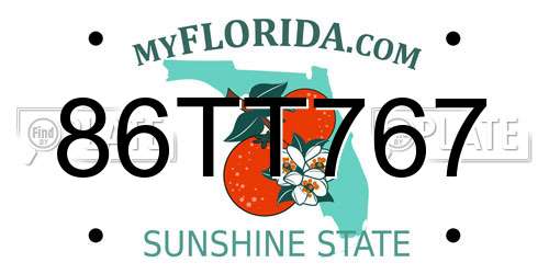 86TT767 Florida License Plate