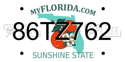 86TZ762 Florida License Plate