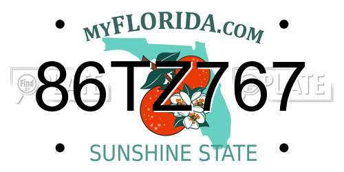 86TZ767 Florida License Plate