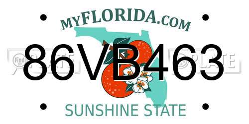86VB463 Florida License Plate