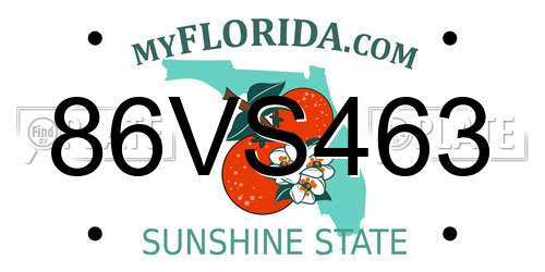 86VS463 Florida License Plate
