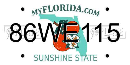 86WE115 Florida License Plate