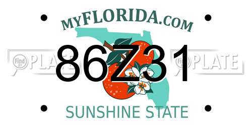 86Z31 Florida License Plate