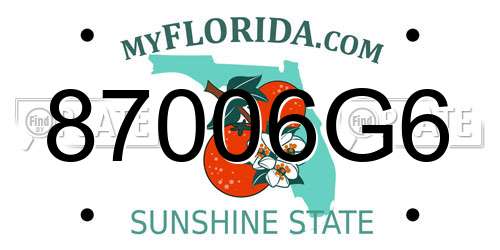 87006G6 Florida License Plate