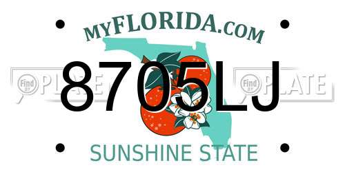 8705LJ Florida License Plate