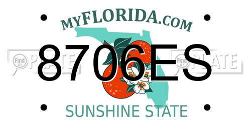 8706ES Florida License Plate
