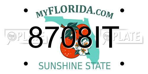 8708IT Florida License Plate