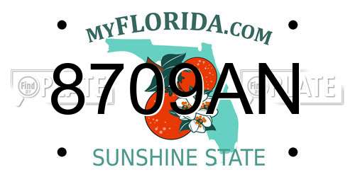 8709AN Florida License Plate