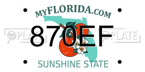 870EF Florida License Plate