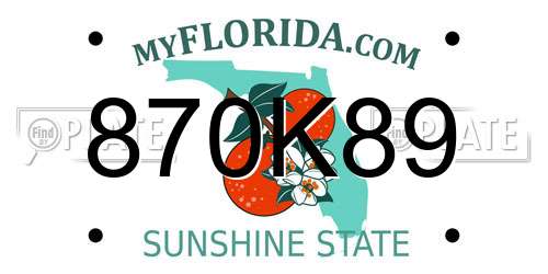 870K89 Florida License Plate