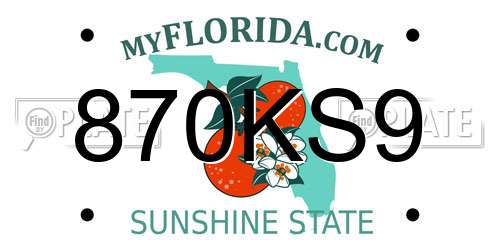 870KS9 Florida License Plate