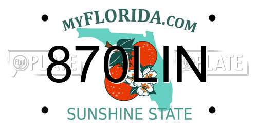 870LIN Florida License Plate
