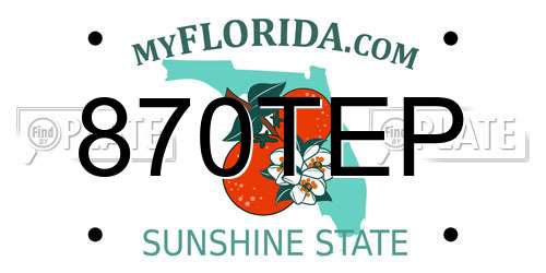 870TEP Florida License Plate