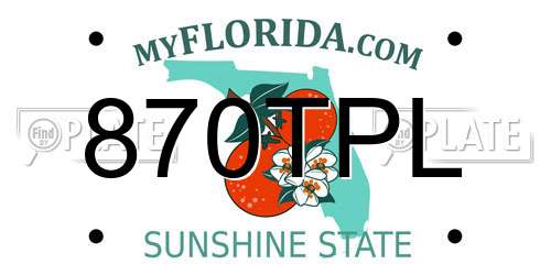 870TPL Florida License Plate